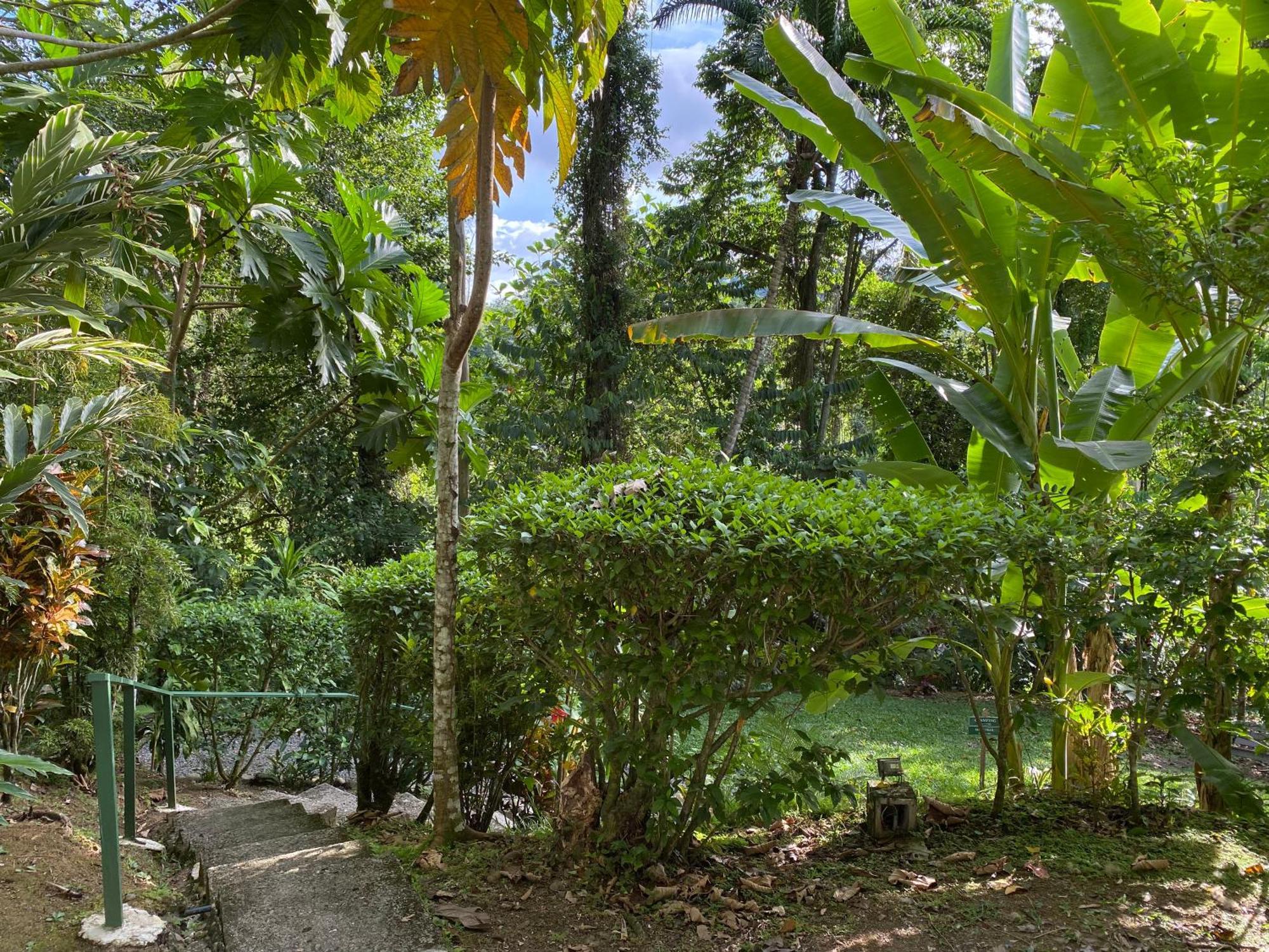 Colina Secreta - Glamping And Villas Puerto Viejo de Talamanca Exterior foto